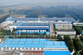 潍坊诸城：让一棵树变为“一个家”图片