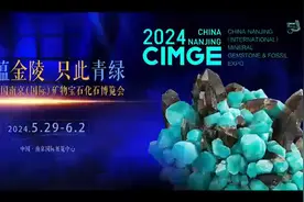 全球藏家石头城“寻宝”矿博会，解锁“馆藏级”青绿矿物图片