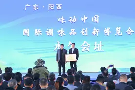 “味动中国”调味品产业创新发展大会在阳西程村开幕图片
