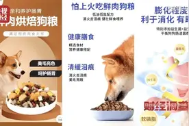 用劣质玉米、添加蒙脱石，厂家称“不会吃死的”……总台曝光黑心宠物粮→图片