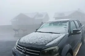 湖北多地下雪了！即将升温！直冲15℃图片