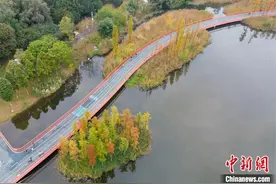 成都绕城绿道初冬如画图片