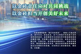 以金砖责任应对共同挑战 以金砖担当开创美好未来【第二辑】图片