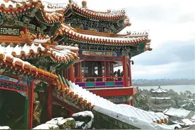 大树修剪师杜劲松：以树作画 以树造景 对得起每一棵树图片