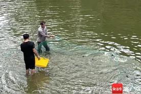 白沙营盘村冷泉养鱼 小产业逐步释放大活力图片