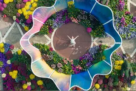 华丽转身，办了41届的武汉金秋菊展变“年轻”了图片