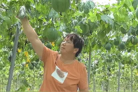 丈夫离世后，黄陂农妇8年还债160多万元  “再难也要把债还了，不然一辈子抬不起头”图片
