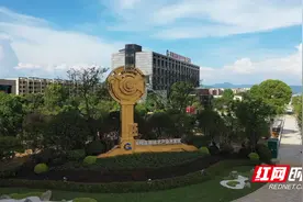 祁阳：突出产业链招商 助推高质量发展图片