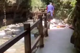 网友称重庆黑山谷景区滑木砸伤游客 镇政府工作人员：确有人受伤，已送往医院救治图片