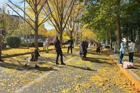 站在路中间、踩进绿化带……赏景拍照还得注意文明与安全图片