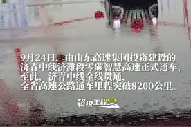 全国首条零碳智慧高速——济青中线济潍段正式通车图片