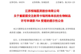 恒瑞医药“双艾”疗法再闯关FDA，行业新模式下创新药“出海”更汹涌图片