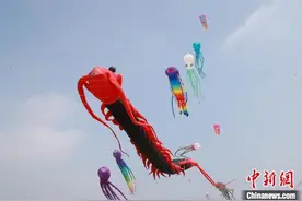 风筝高手汇聚河北故城图片