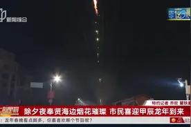 除夕夜奉贤海边烟花璀璨 市民喜迎甲辰龙年到来
