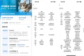 只需一杯奶茶钱的宠物保险，治不好铲屎官的“养宠焦虑”图片