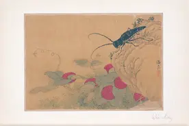 本草说蛇图片