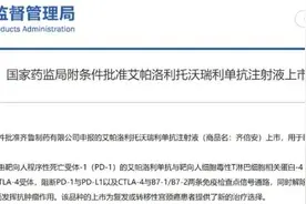 全球首创艾托组合抗体齐鲁制药重磅1类新药（齐倍安®）获批上市图片