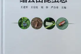 凌晨2点，这支科研团队为何走进了大山深处？图片