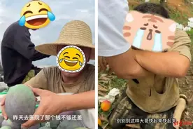 南都电商观察｜良品铺子被曝假配料表；“大先哥”假助农被抓图片
