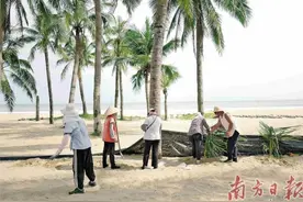 台风“摩羯”或正面登陆广东：防风Ⅰ级应急响应已启动 部分铁路、水路、航空航线停运图片