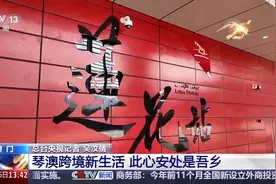 琴澳“双向奔赴” 一起感受居民的“双城生活”图片