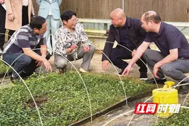 科技助力小浆果做出大产业图片