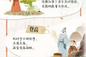 “天上繁霜降，人间秋色深”，霜降这样过：赏菊食柿拔萝卜，多吃润燥食物图片