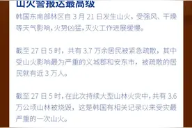 山火烧7天致26死30伤，韩国何以如此火火火？| 东北亚风云图片