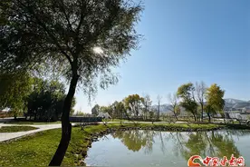 乡村美 产业兴 村民富 永登绘就和美乡村新画卷图片
