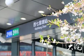 不是景区去不起，而是地铁口赏花更有性价比 市民提名多个“合肥最美地铁站”图片