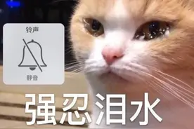 春风十里不讲理，花粉过敏困扰你？如何防护看这里→图片