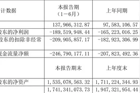星环科技：2023年上半年亏损1.90亿元图片