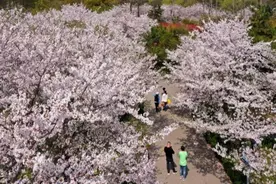 清明假期上海迎客664万余人次，旅游消费交易总额106.80亿元图片