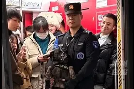太热闹，跨年夜警犬“被迫”双脚站着挤地铁图片