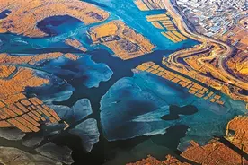 北京力量 共护白洋淀一汪碧水图片