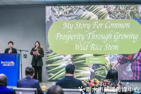 登上首届哈拉雷非洲论坛丨丽水农村妇女为非洲农民带去中国茭白种植经验图片