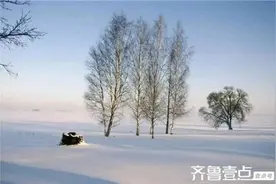 冬天里的故事（诗歌）图片