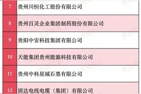 2024贵州民营企业100强榜单发布图片