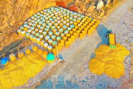 哈市累计收购新粮50.2万吨丨水稻、玉米和大豆“三大品种”粮食陆续上市​图片