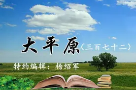 大平原（三百七十二）|红枣情图片