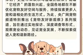 宠物友好新观察  |    带上“毛孩子”去杭州宠物友好公园撒欢儿吧图片