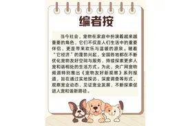 宠物友好新观察  |    带上“毛孩子”去杭州宠物友好公园撒欢儿吧图片