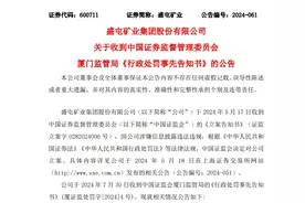 拟被罚850万元！涉嫌信披违规，盛屯矿业将被ST图片