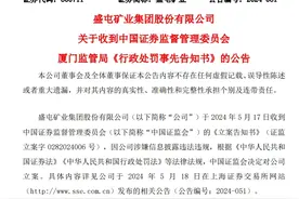 拟被罚850万元！涉嫌信披违规，盛屯矿业将被ST图片