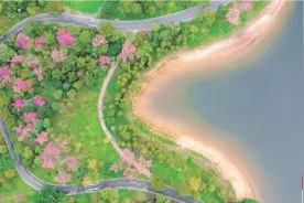 构筑“半城山色半城湖” 松山湖编制60个项目清单图片