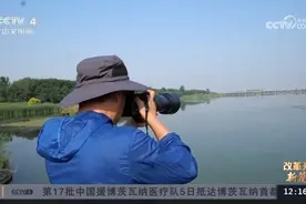 滹沱河重现美景、京杭大运河全线贯通！河北擦亮生态底色崭新颜图片