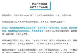 “顶流”蔬菜上市！比白菜鲜，维C含量还高！这种蔬菜你了解多少？图片
