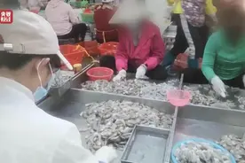 上游315 | 六家被点名虾仁企业线上“消失”，有企业曾多次被处罚图片