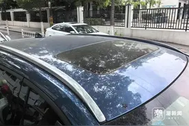 就像被油烟机一直吹着！车停树下一段时间，怎么油乎乎的？图片