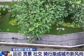 年轻人爱上“Cityride”，骑行安全如何保障？图片